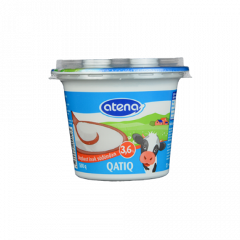 Yogurt homogenized 500 gr