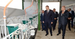 Церемония открытия молочного комбината «Атина» при участии Президента | Atena Молоко и молочные прод